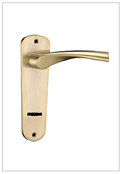 CISA T-081